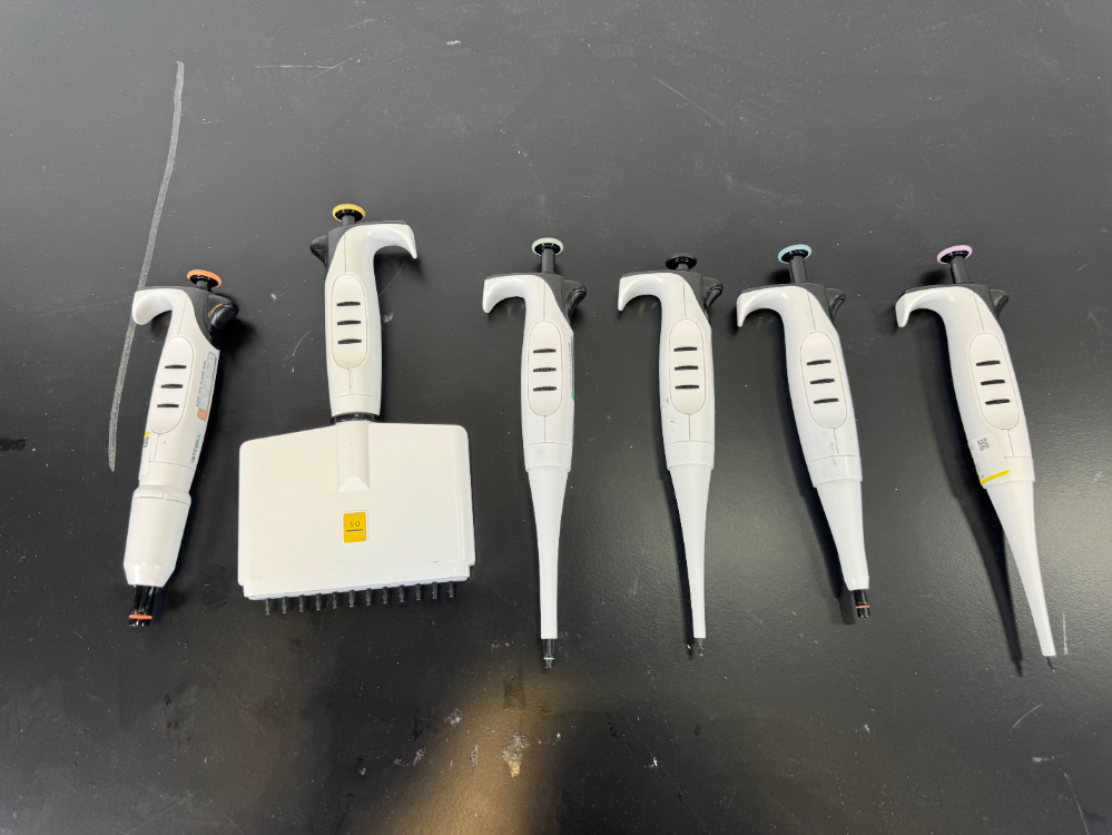 Image of Integra Pipettes - Quantity 6